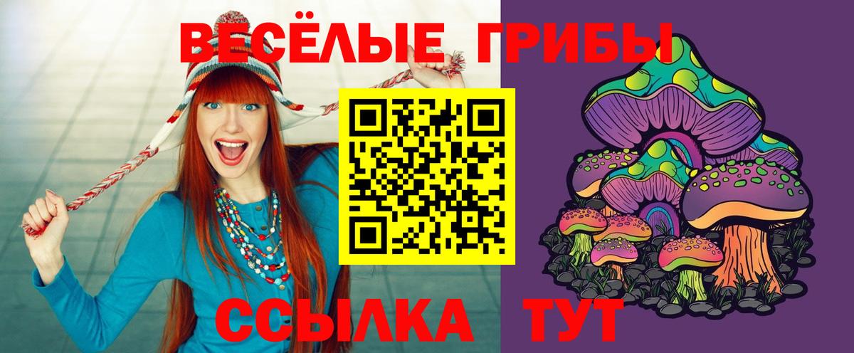Новодвинск  Псилоцибиновые грибы прущие грибы  Вход с VPN 